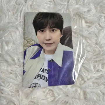 규현 트레이딩 카드