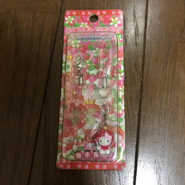 헬로키티 키티 현지 키티 딸기 도치기 2004년