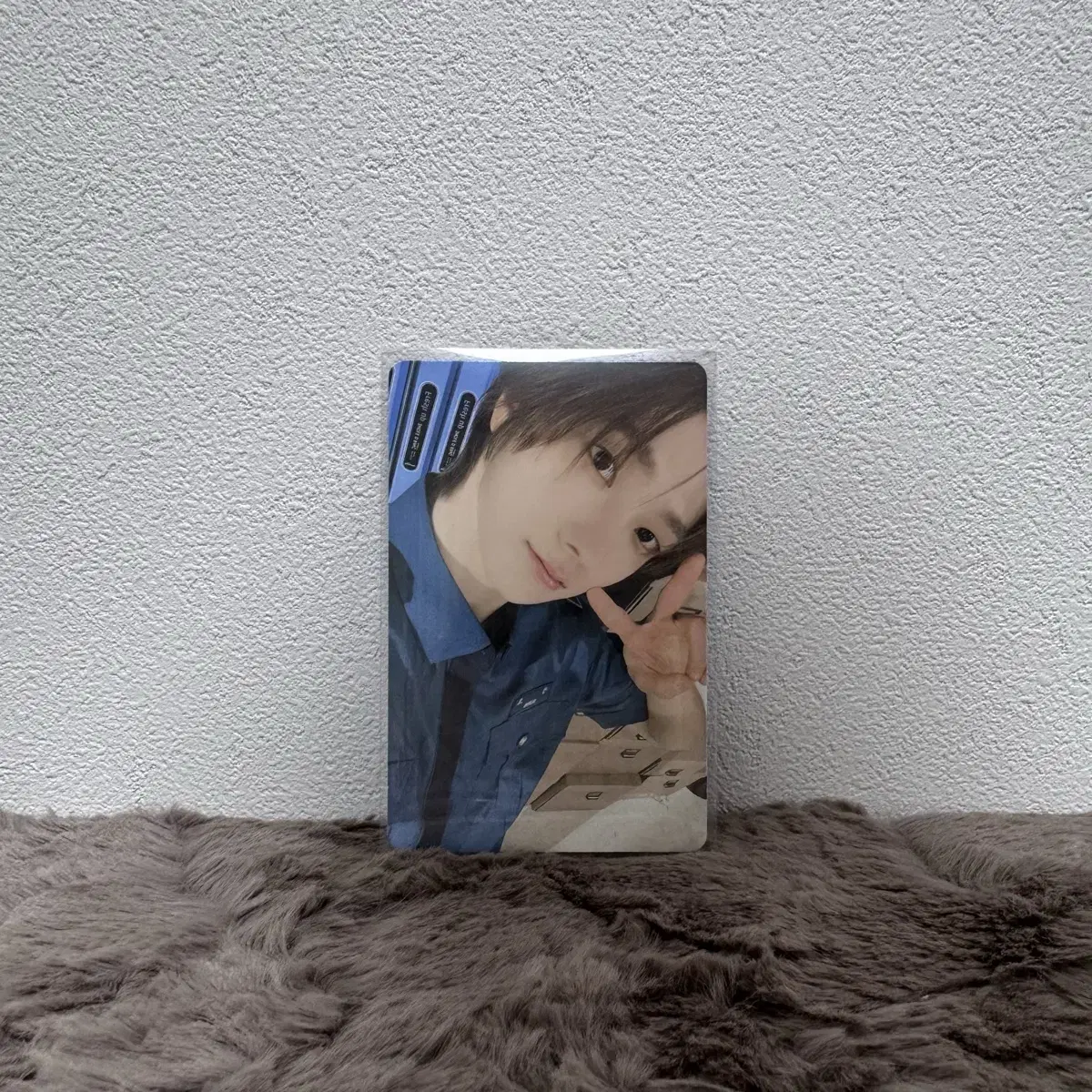 보넥도 성호 멤버쉽 키트 포카 양도