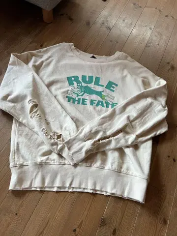 RULE THE FATE Dog DAMAGE CREW NECK 사이즈 2