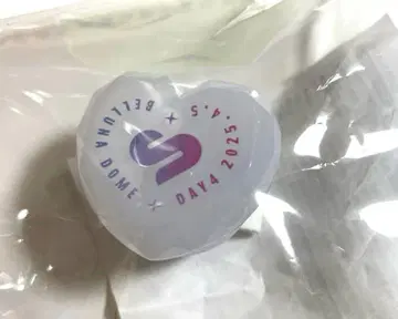 STPR 벨루나 돔 라이브 4일차 반지 라이트