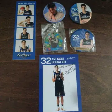 씨 호스 미카와 #32 셰퍼 아비 유키 선수