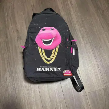 sprayground 버니 백팩