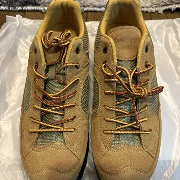 high-tech Franklin climbing 콜라보 신발