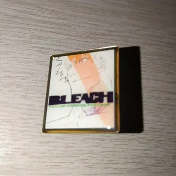 BLEACH(쿠보 타이토) 핀즈(쿠로사키 이치고)