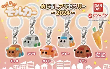 푸이푸이모루카 메지루시 액세서리 ~2024~ 4개