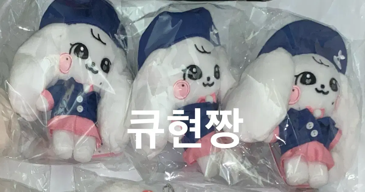 (현물1개) 아이브 미니브 스쿨 플러시 키링 체리 양도