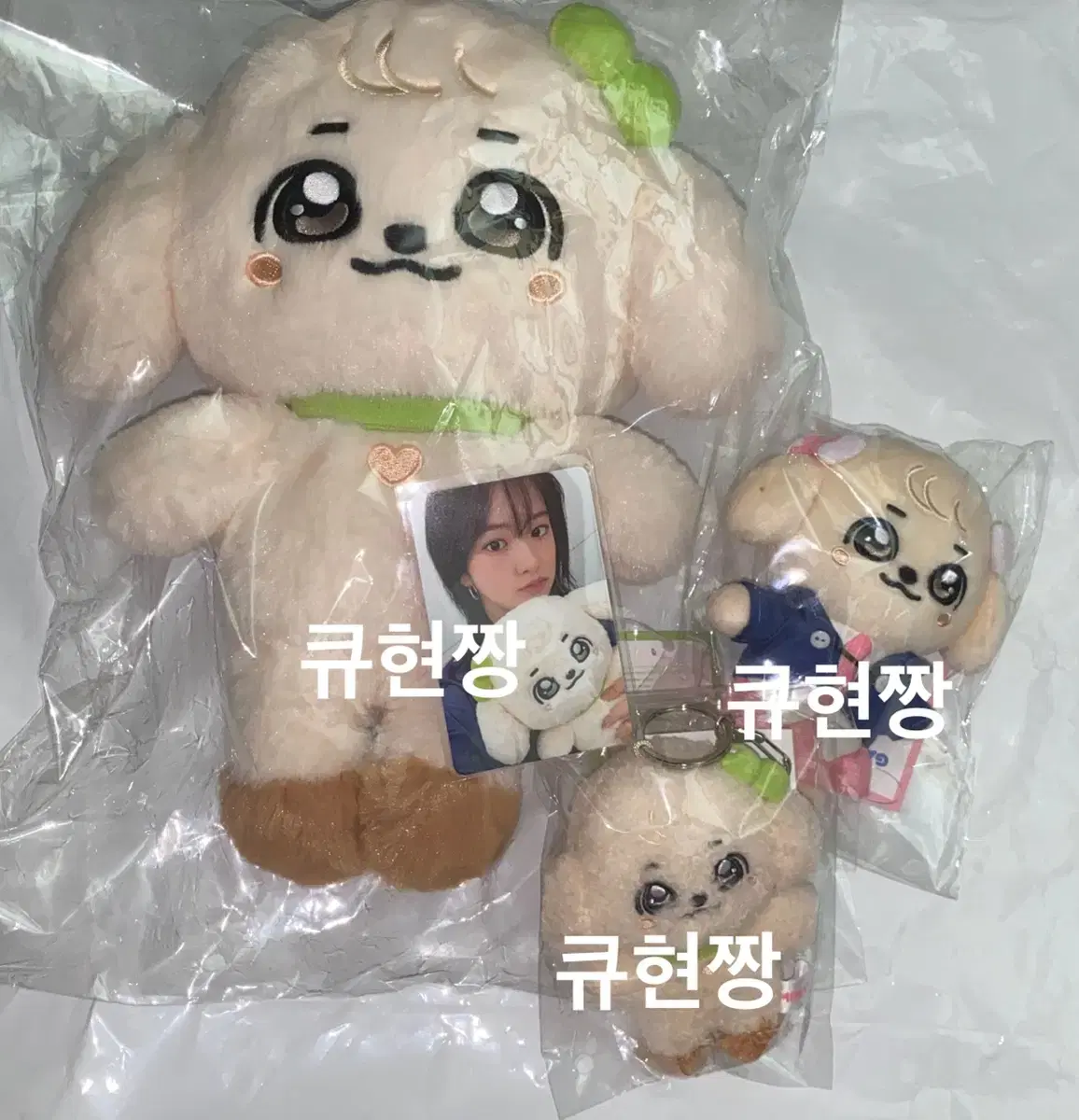 (현물) 아이브 미니브 10cm 30cm 스쿨 플러시 키링 유진 강안지