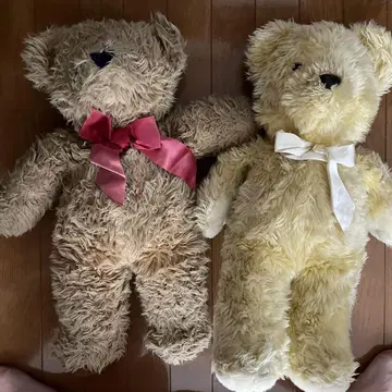곰 봉제 인형 2개 세트