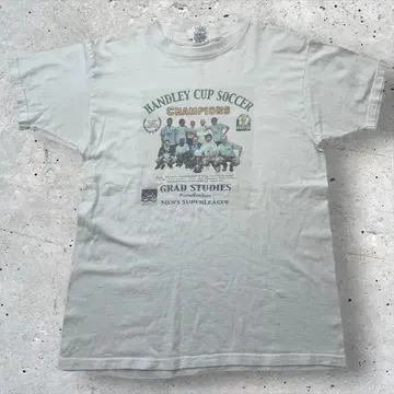 90s FRUIT OF THE LOOM 다레 티셔츠 L 캐주얼 구제 의류