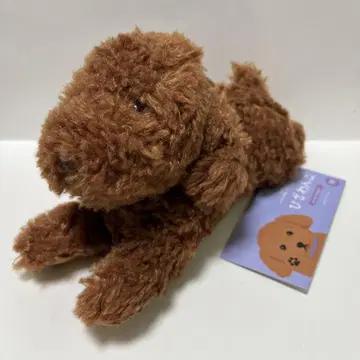 선 레몬 무릎 강아지 SS 토이 푸들 개