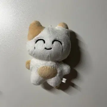 재현 봉제 인형 NCT 솜땀j