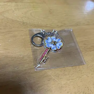 슈고 캐릭터 가라테츠 가라오케의 철인 아크링 키링
