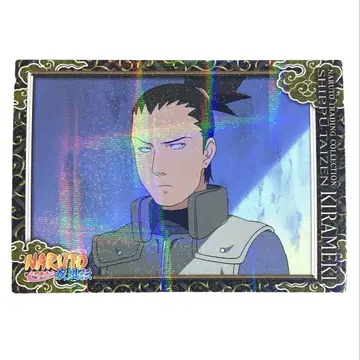 NARUTO 나라 사슴 말 시카마루 질풍 대백과 키라메키 No.010