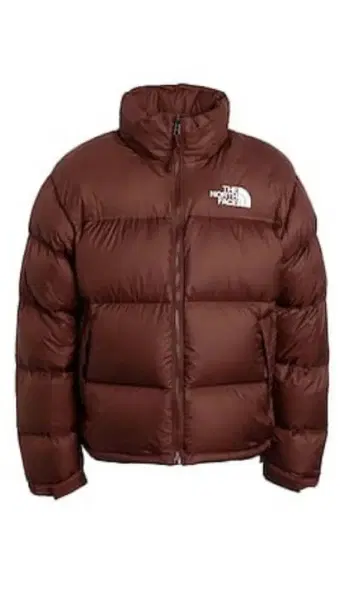 THE NORTH FACE 브라운 다운 자켓 눕시