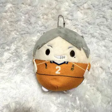 하이큐 스가와라 코시 후와코로린 봉제 인형