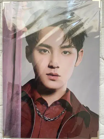 SEVENTEEN 세부치 민규 POWEROFLOVE 파워러브 프리 사진