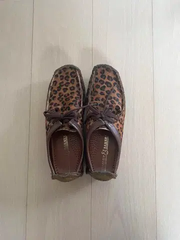 레어 PADMORE&BARNES 패드모어&반스 송치 레오파드 무늬