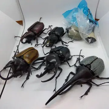 생물대도감 가부토 세트