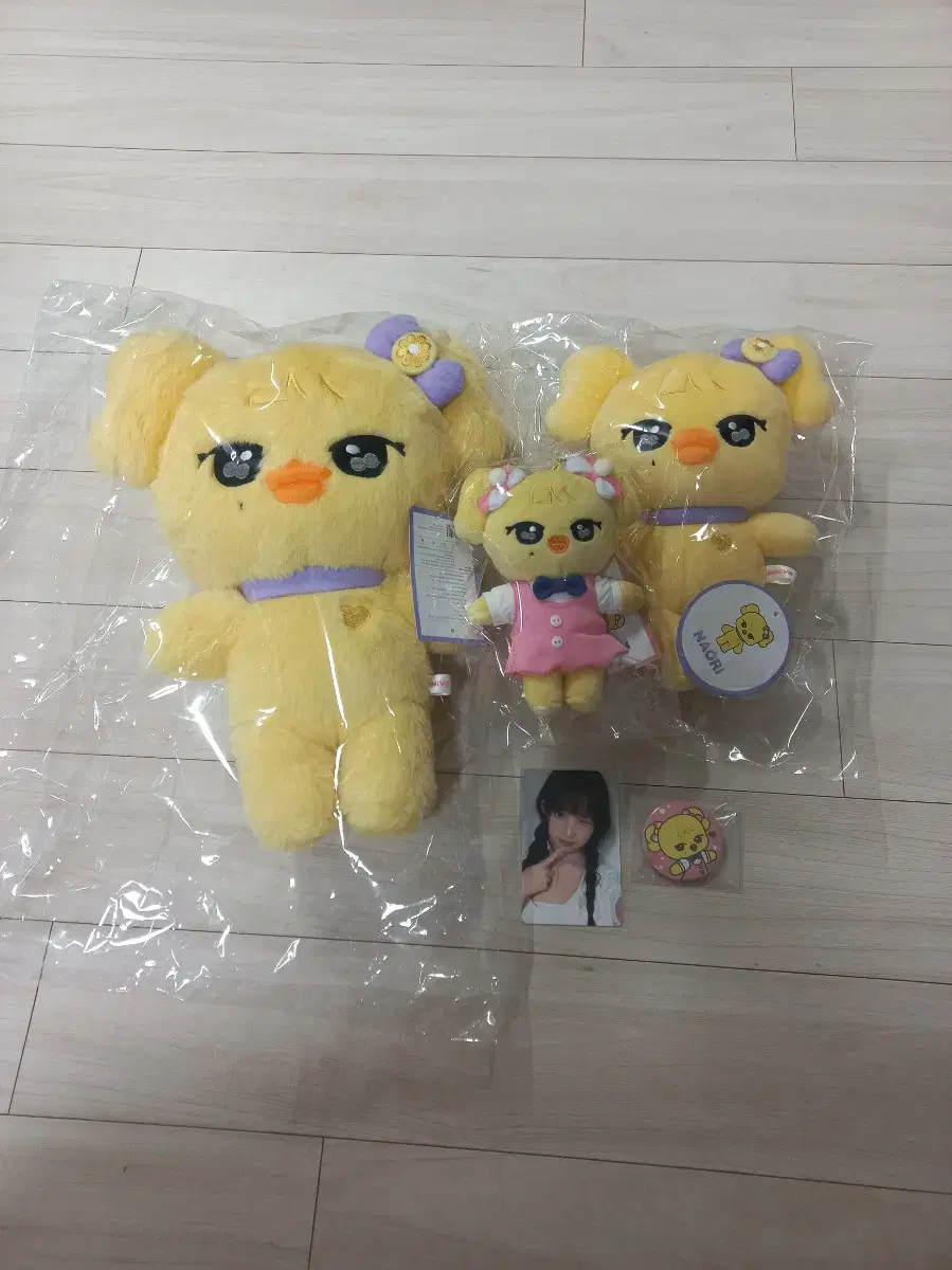 일괄) 아이브 미니브 나오리 오리지널, 30cm, 스쿨, 7만원 포카