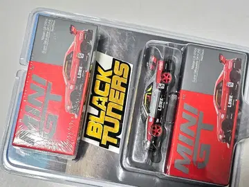 MINIGT ER34 SKYLINE LBWK 체이스 + REGULAR