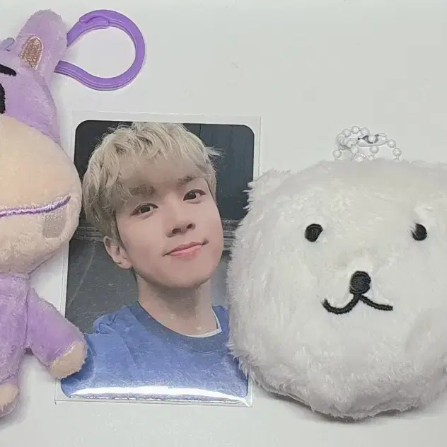 アイドル N.Flying HAMANG Mini Doll N.FLYING | 엔플라잉 Nflying doll Hamang and Jigom sell on