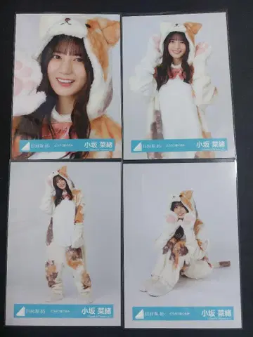 히나타자카46 브로마이드 코사카 나오 동물 인형옷 컴프