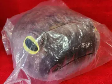 제일복권 파충류 및 양서류 C상 아메후쿠라가엘의 엉덩이 쿠션 봉제 인형