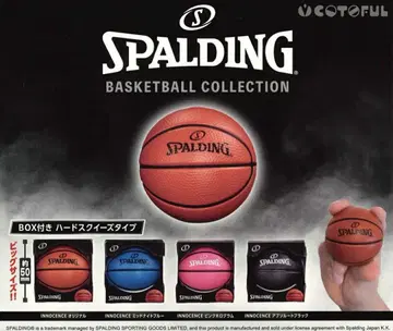 SPALDING 스퀴즈 공 (박스 포함) [전 4종 세트]
