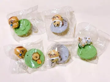 치이카와 (먼작귀) 초코 사프 묶음 판매