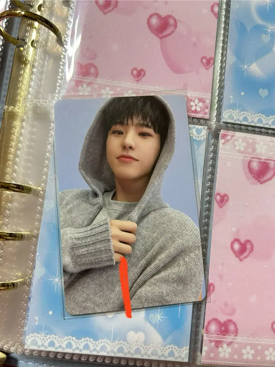 급처) 세븐틴 호시 포토카드 양도