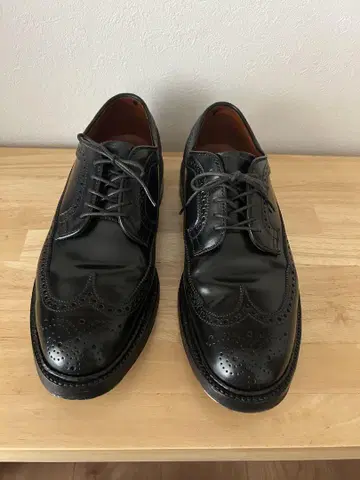 알든 9751 9D
