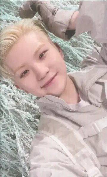 SEVENTEEN SECTOR 17 WOOZI 트레이딩 카드