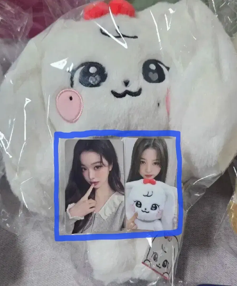 아이브 미니브 팝업 스쿨팝업 원영 체리 포카만 2종 일괄