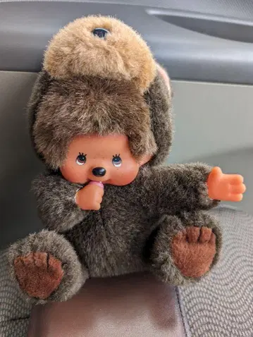 몬치치 약 20cm 곰