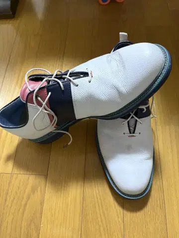 풋조이 프리미엄 골프화 27cm