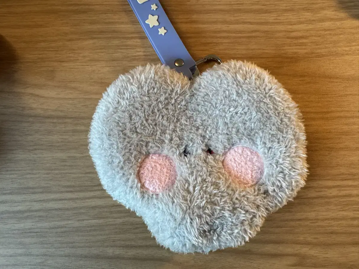 Treasure truz Bonbon Coin Wallet
