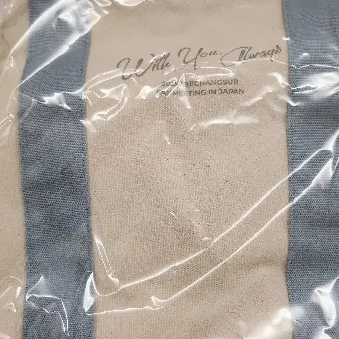 Monsta X Monmoongi Face Cushion (Manraengi, sealed) | Bunjang Global