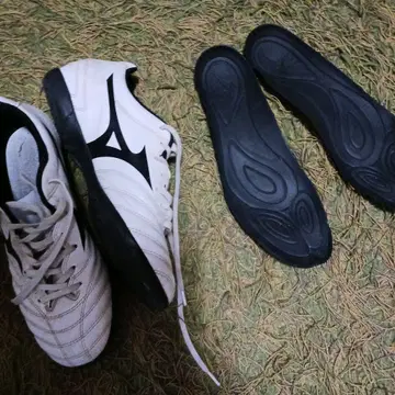 Mizuno 축구 트레이닝 슈즈 모나르시다 네오 25cm