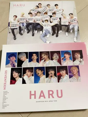 세븐틴 세부치 HARU 2019 블루레이