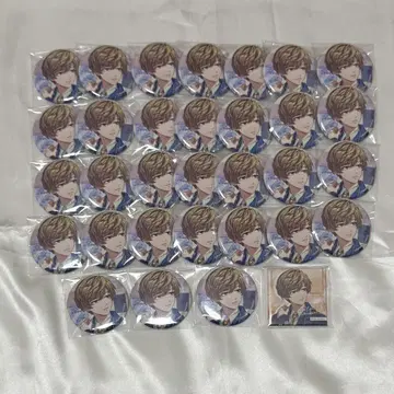 파라라이 사계절 캔뱃지 FATE