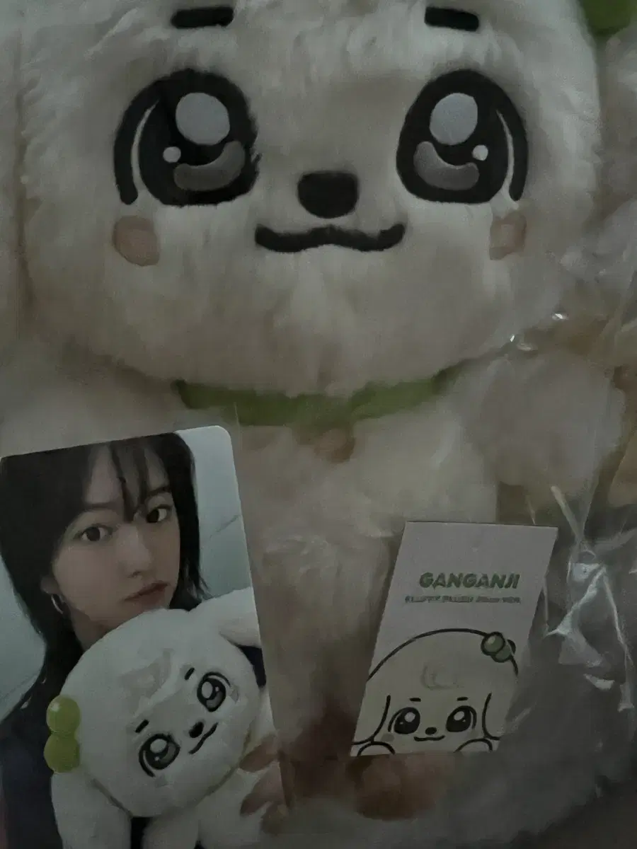 강안지 미니브 안유진 인형 포카