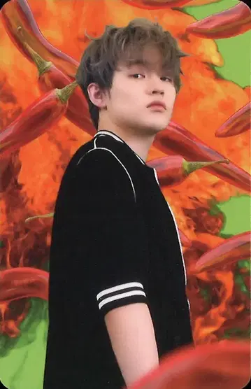 NCT DREAM 주얼 케이스 Ver. CHENLE 핫 소스