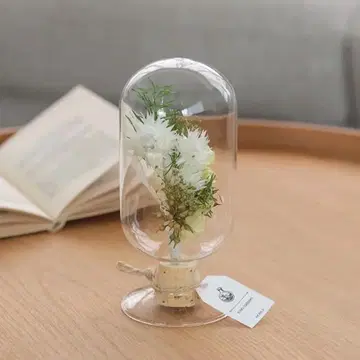 Dr.STONE/보틀 플라워/센쿠