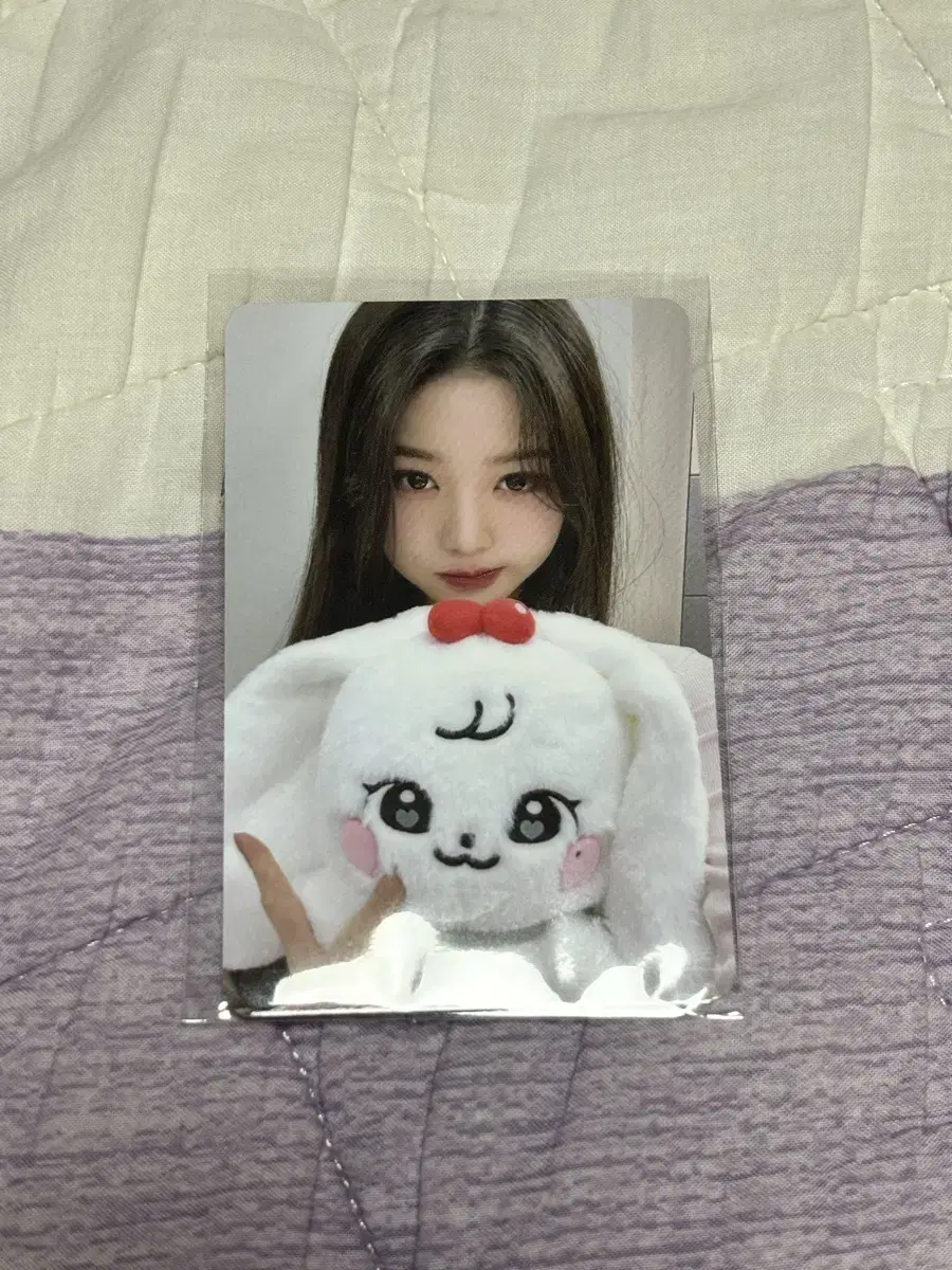 아이브 미니브 스쿨 팝업 장원영 체리 30cm인형 포카