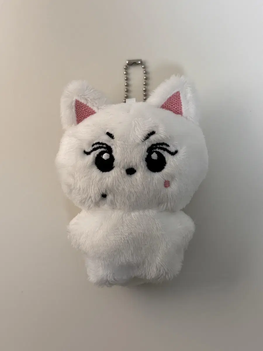 엔하이픈 정원 인형 양꼬미