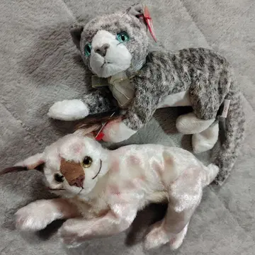 고양이 + 큰 고양이 봉제 인형 2개 세트 비니 베이비즈