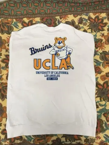 UCLA 블루인즈 맨투맨