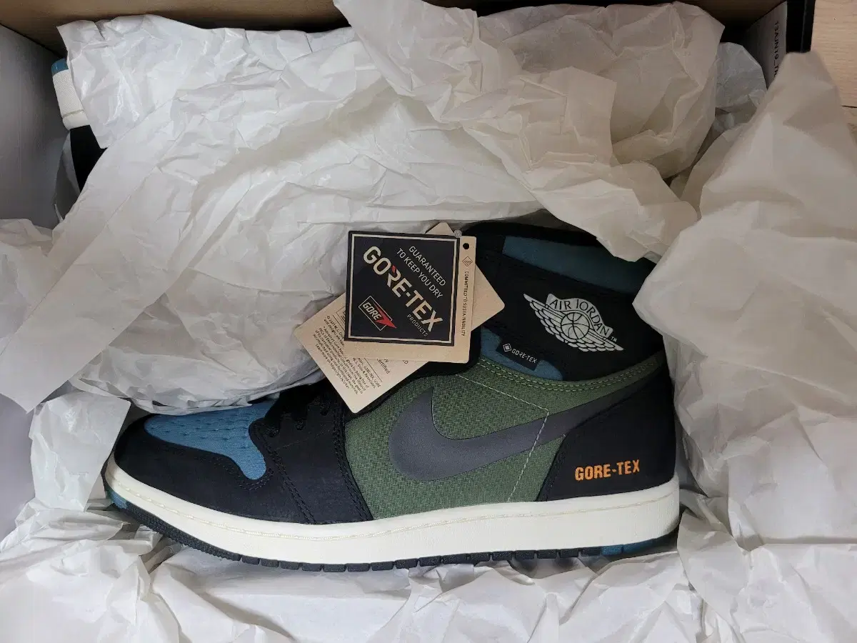 Jordan 1 Element Gore-Tex Noise Aqua and Light Olive 290