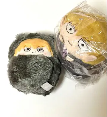 모브 사이코 100 레이겐 아라타카 모치코로린 타피누이